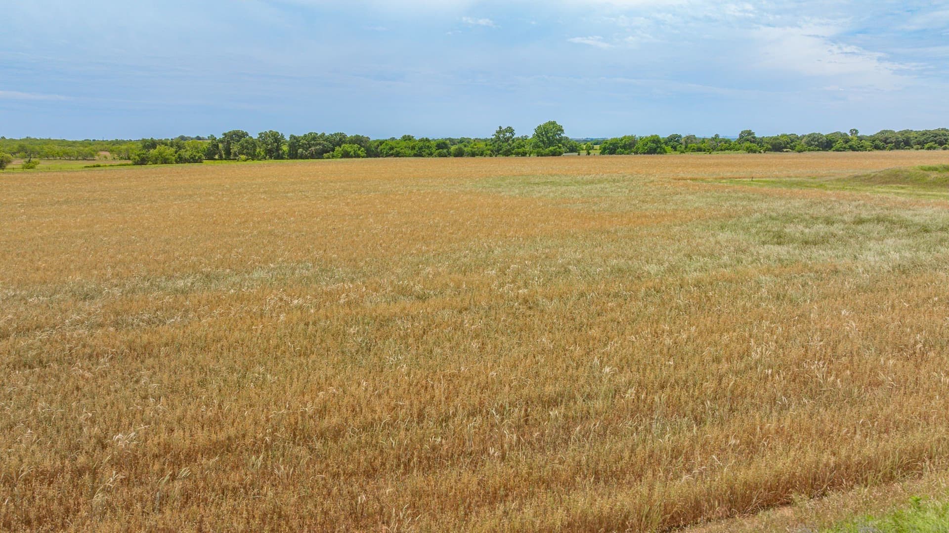 145.81 acres in Comanche County - photo 36