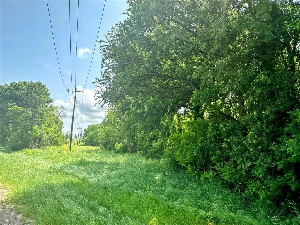 2.31 acres in McLennan County gallery image 2
