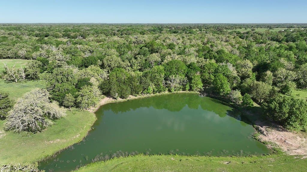 254 acres in Lee County featured view