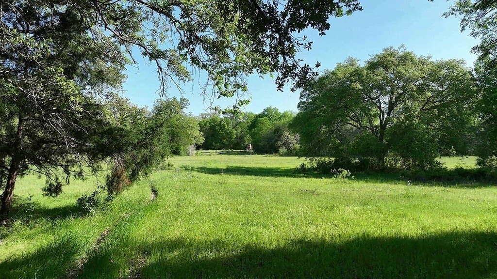 254 acres in Lee County gallery image 3