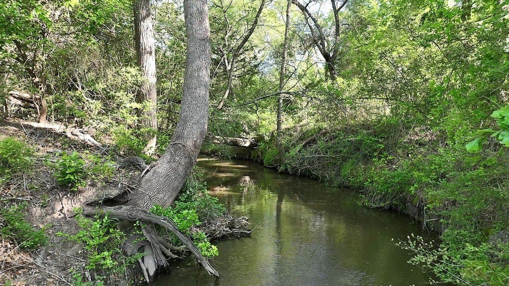 254 acres in Lee County