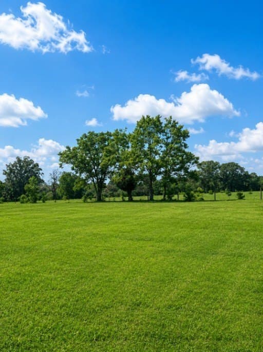 113 acres in Texas County - photo 11