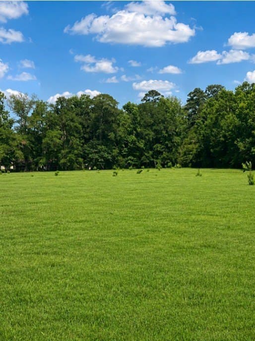 113 acres in Texas County - photo 10