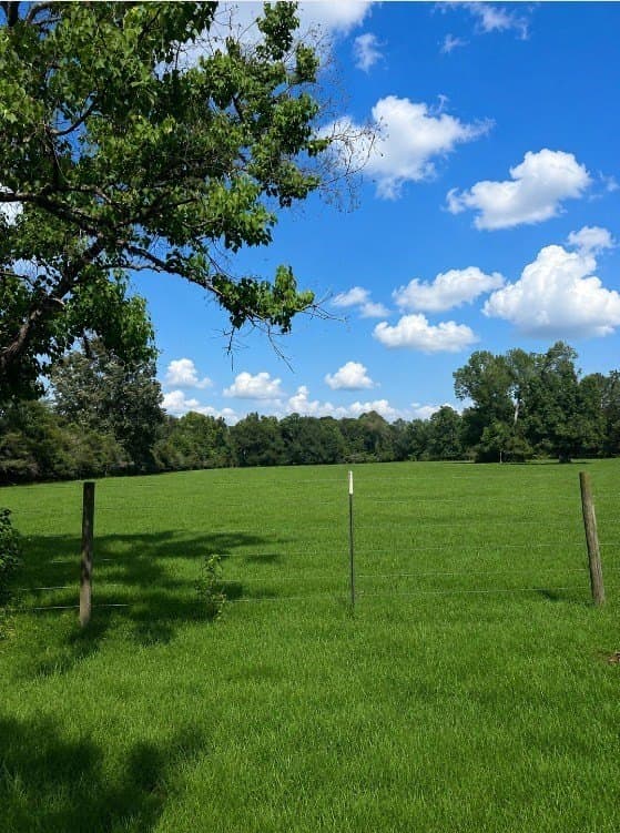113 acres in Texas County - photo 18