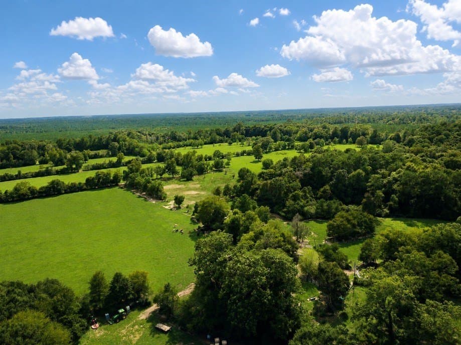 113 acres in Texas County - photo 19