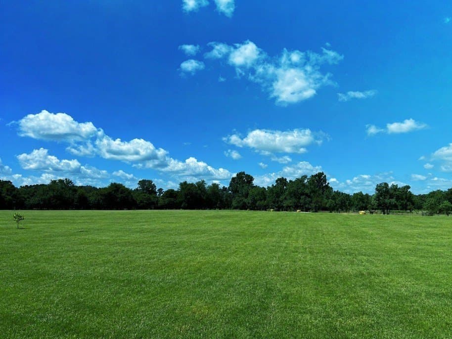 113 acres in Texas County - photo 8
