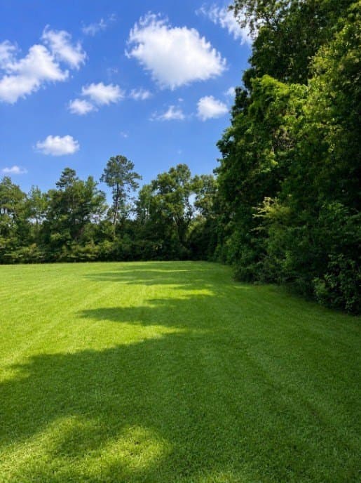 113 acres in Texas County - photo 17