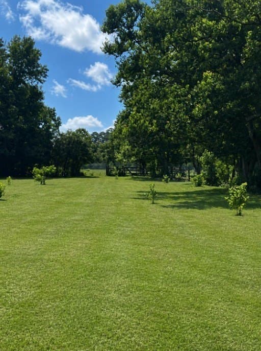 113 acres in Texas County - photo 12