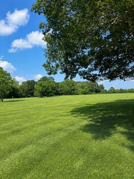 113 acres in Texas County - photo 14
