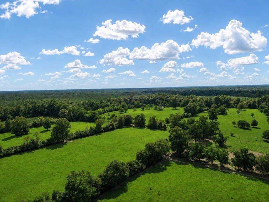 113 acres in Texas County - photo 20