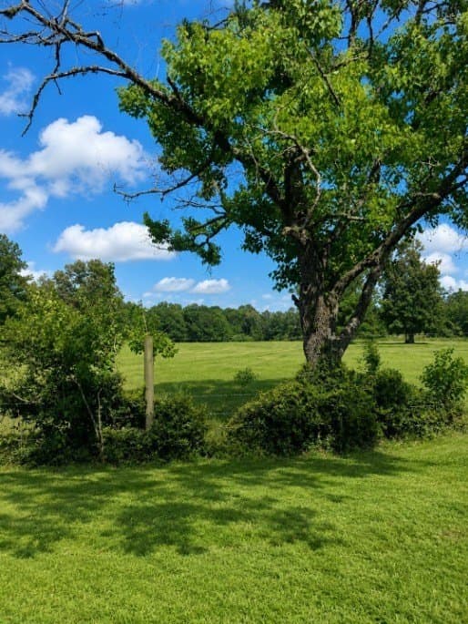 113 acres in Texas County - photo 13