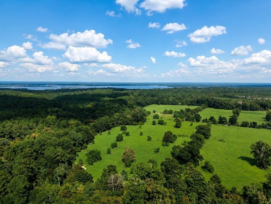 113 acres in Texas County - photo 21