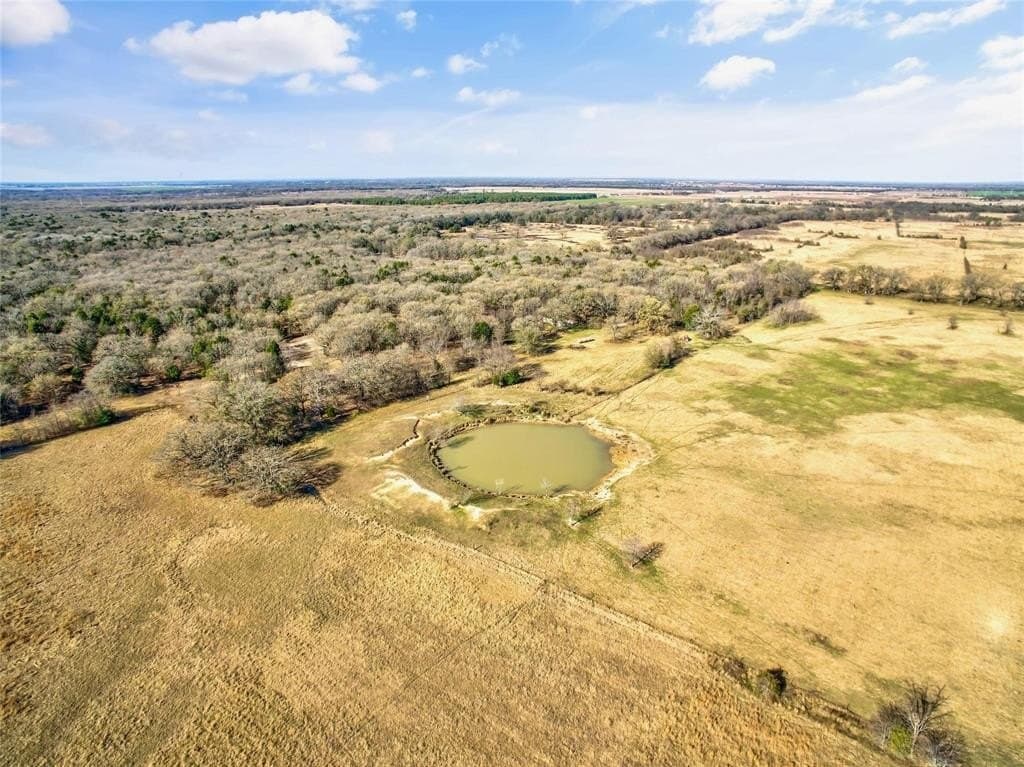 200.7 acres in Navarro County gallery image 3