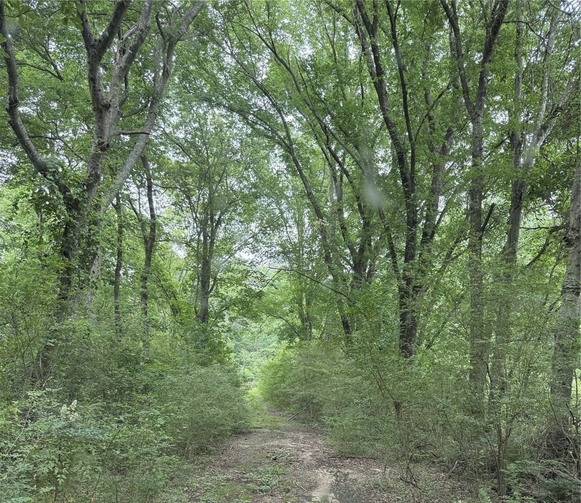32 acres in Hopkins County
