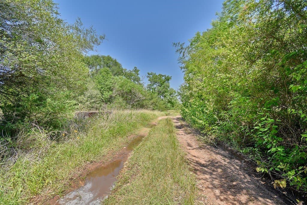 198.96 acres in Austin County gallery image 4