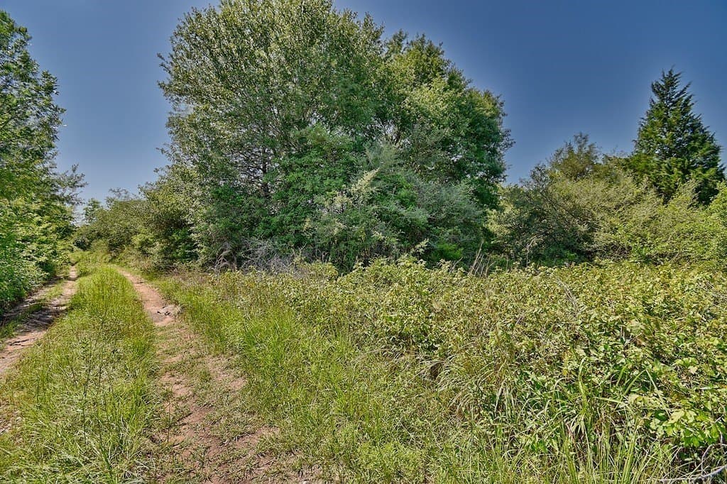 198.96 acres in Austin County gallery image 3