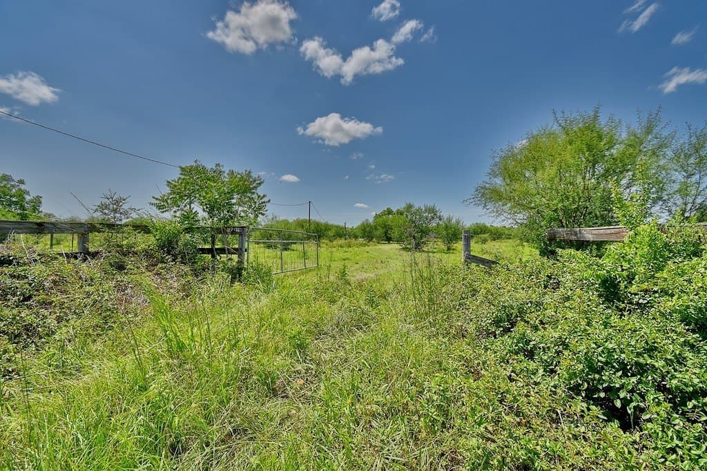 198.96 acres in Austin County gallery image 2