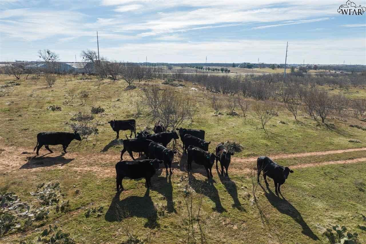 107.31 acres in Archer County - photo 14