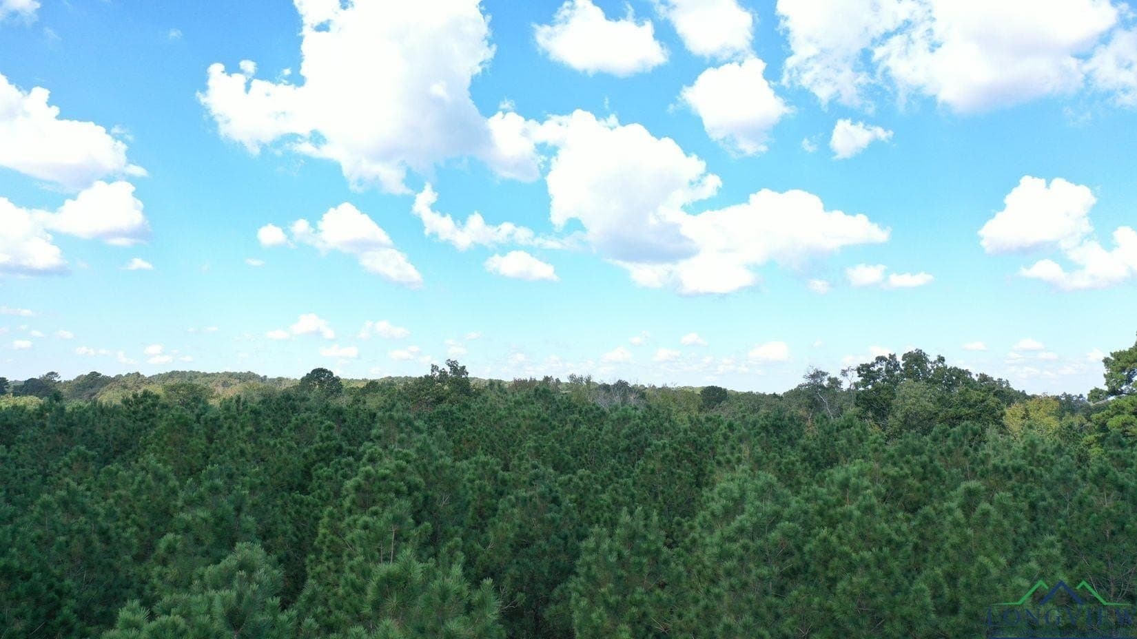 13.59 acres in Texas County gallery image 4