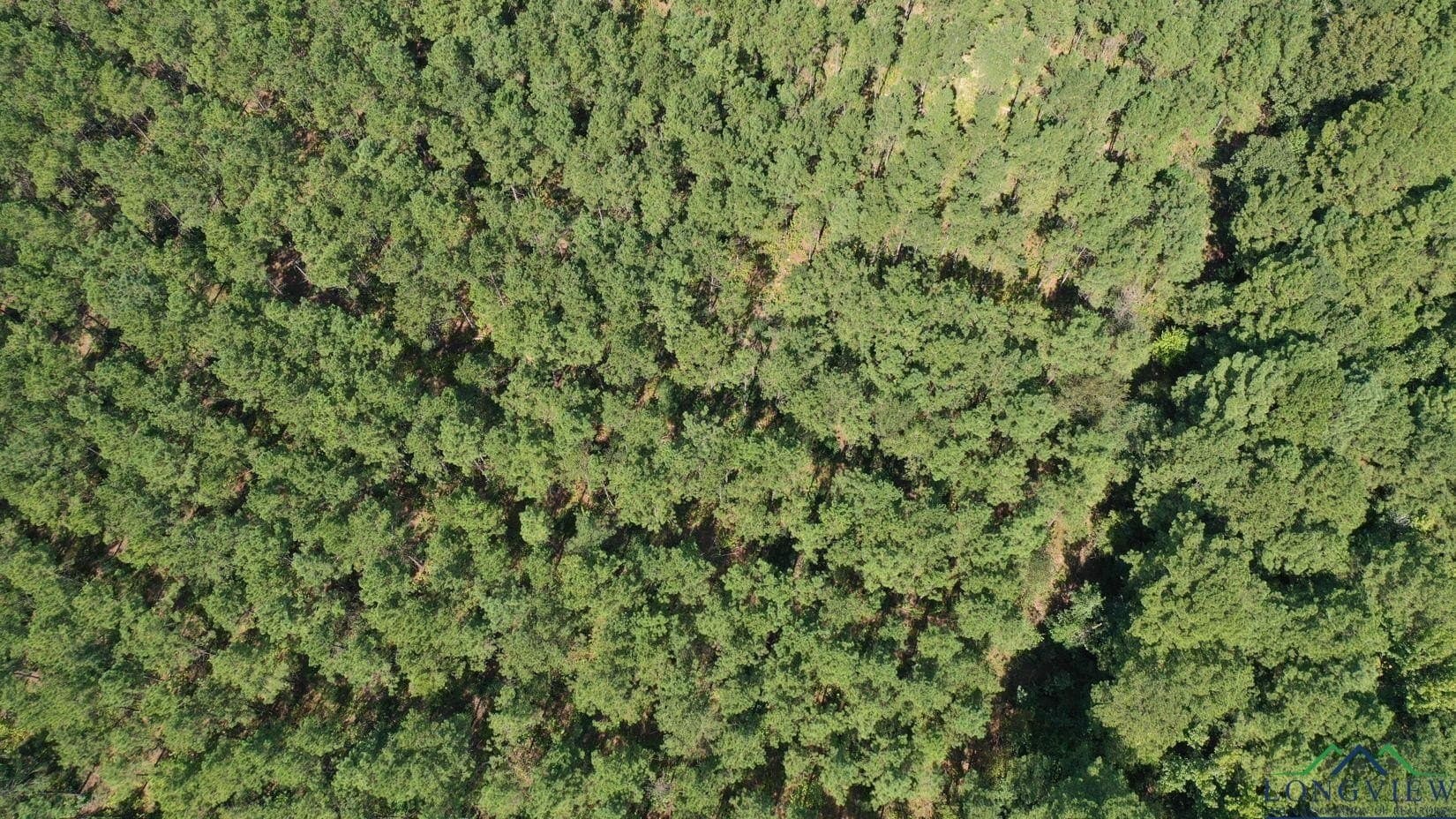 13.59 acres in Texas County featured view
