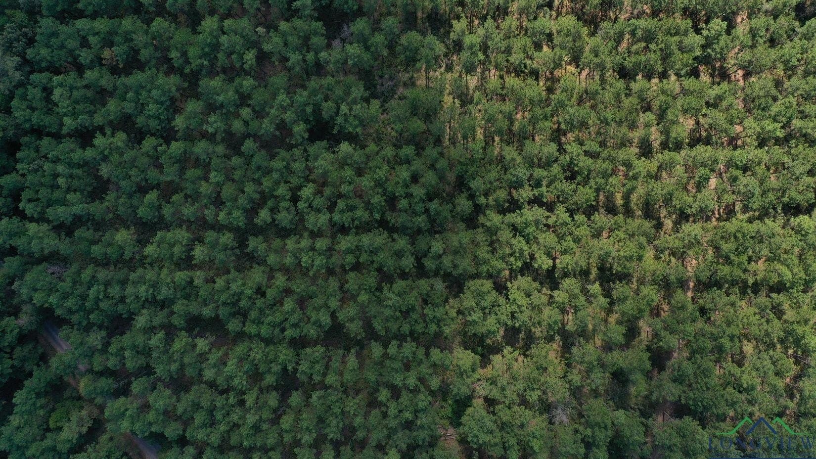 13.59 acres in Texas County gallery image 3