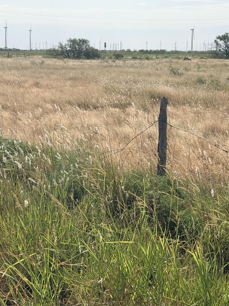 114.7 acres in Mitchell County - photo 3