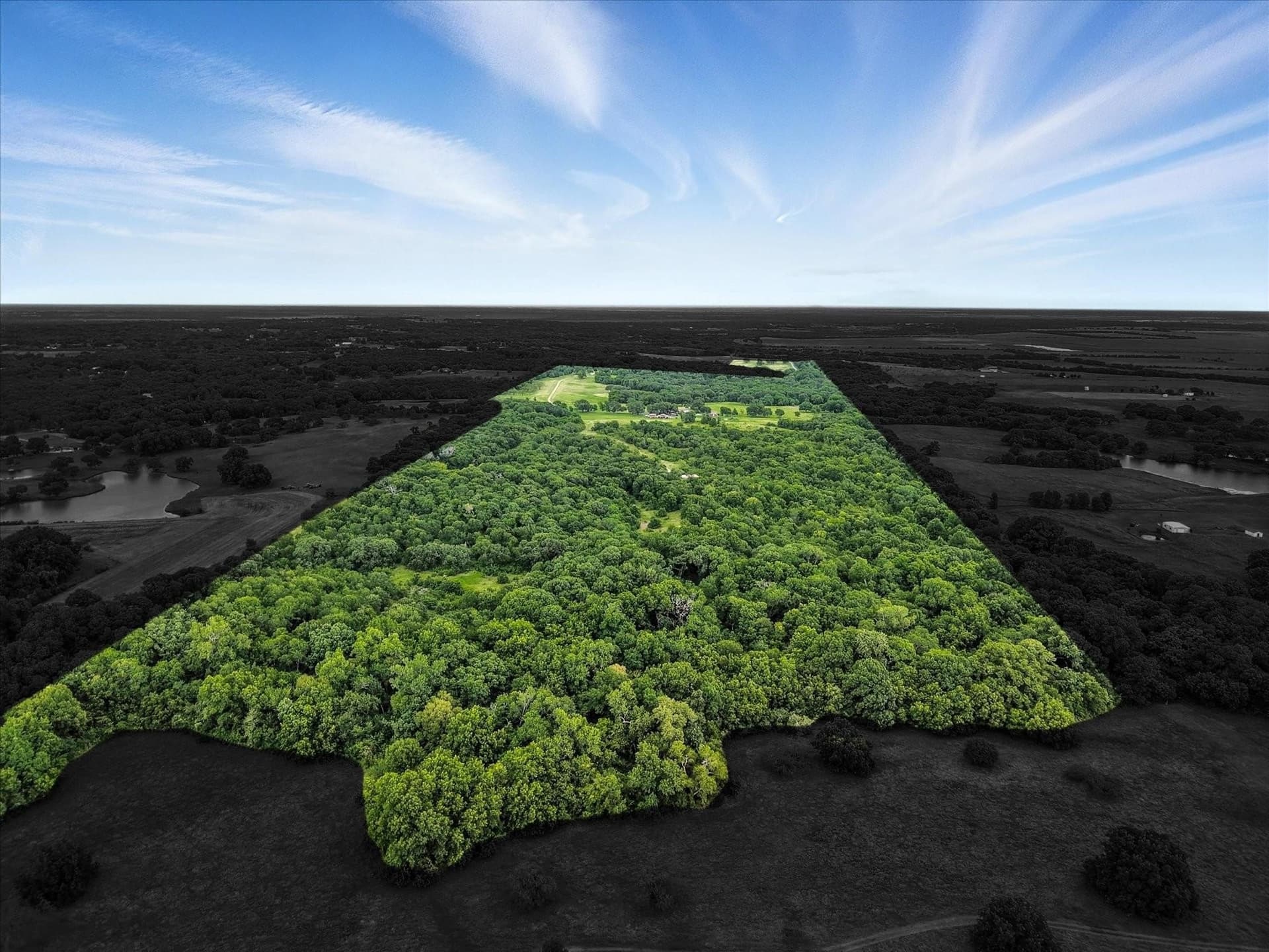 63.53 acres in Ellis County - photo 5