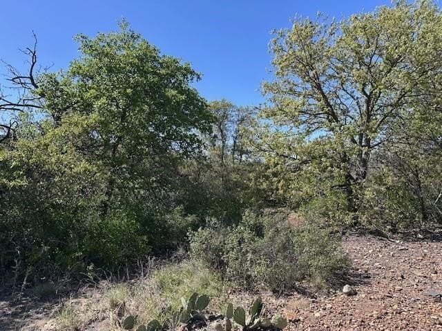 3.46 acres in Eastland County gallery image 3