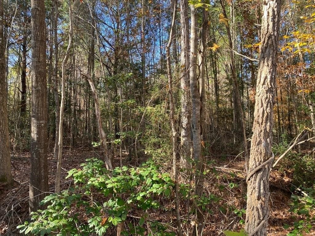 1.22 acres in Texas County