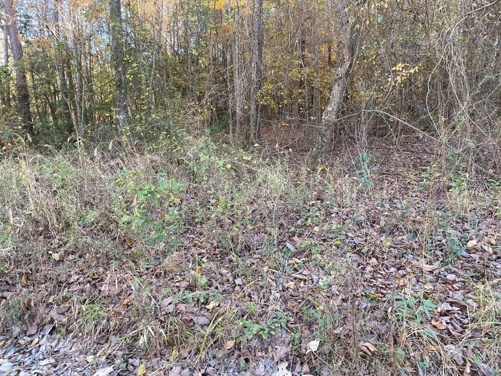 1.22 acres in Texas County - photo 11