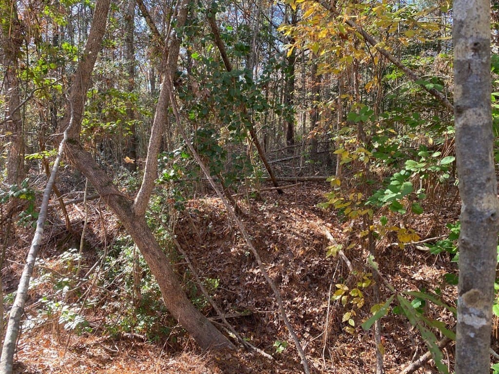 1.22 acres in Texas County - photo 6