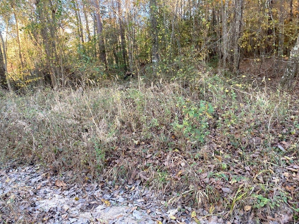 1.22 acres in Texas County - photo 13