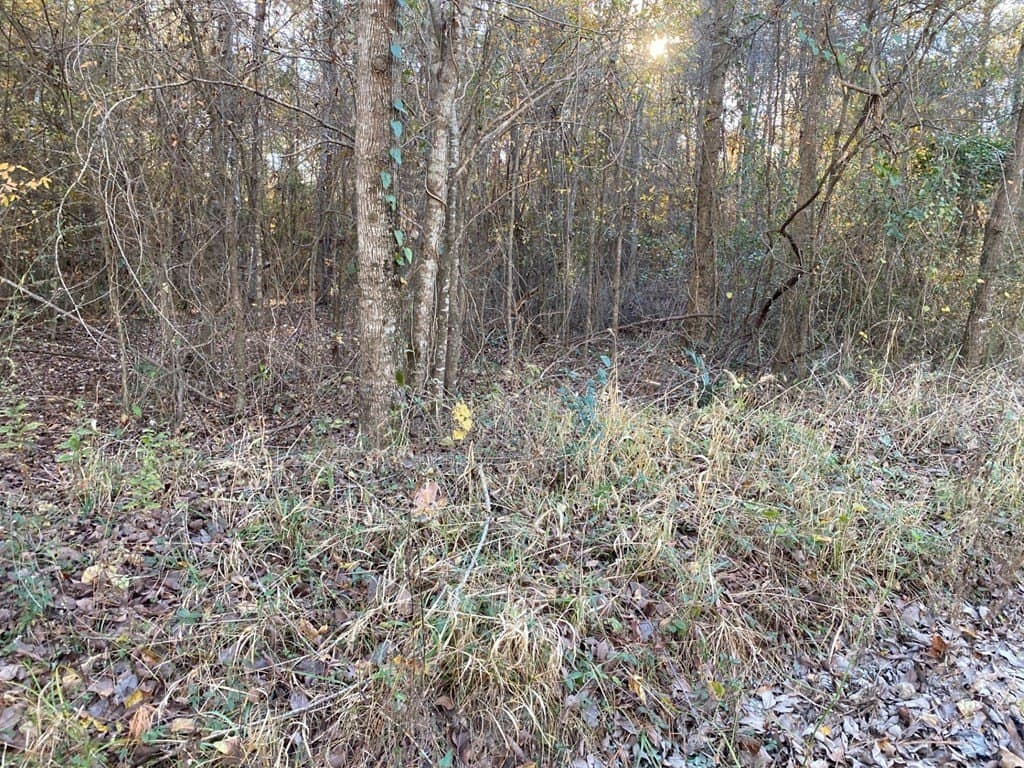 1.22 acres in Texas County - photo 12