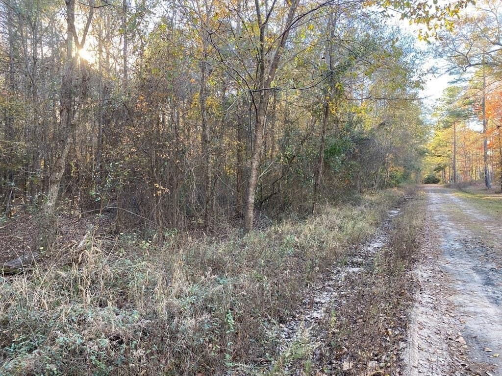 1.22 acres in Texas County gallery image 2