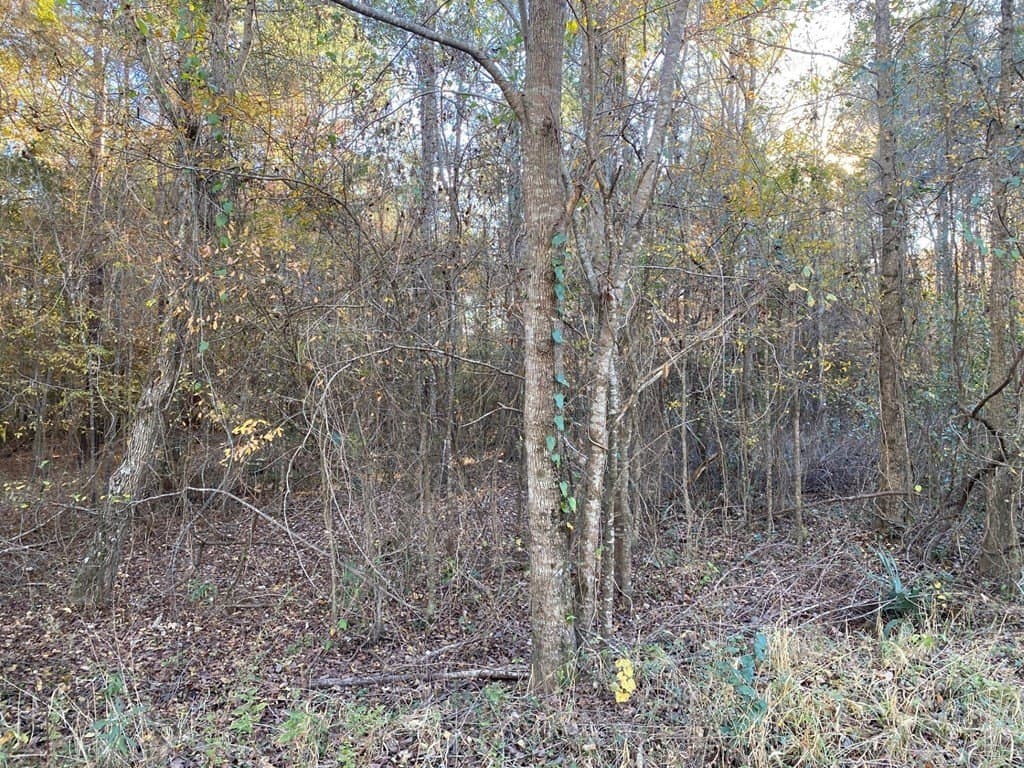 1.22 acres in Texas County - photo 14