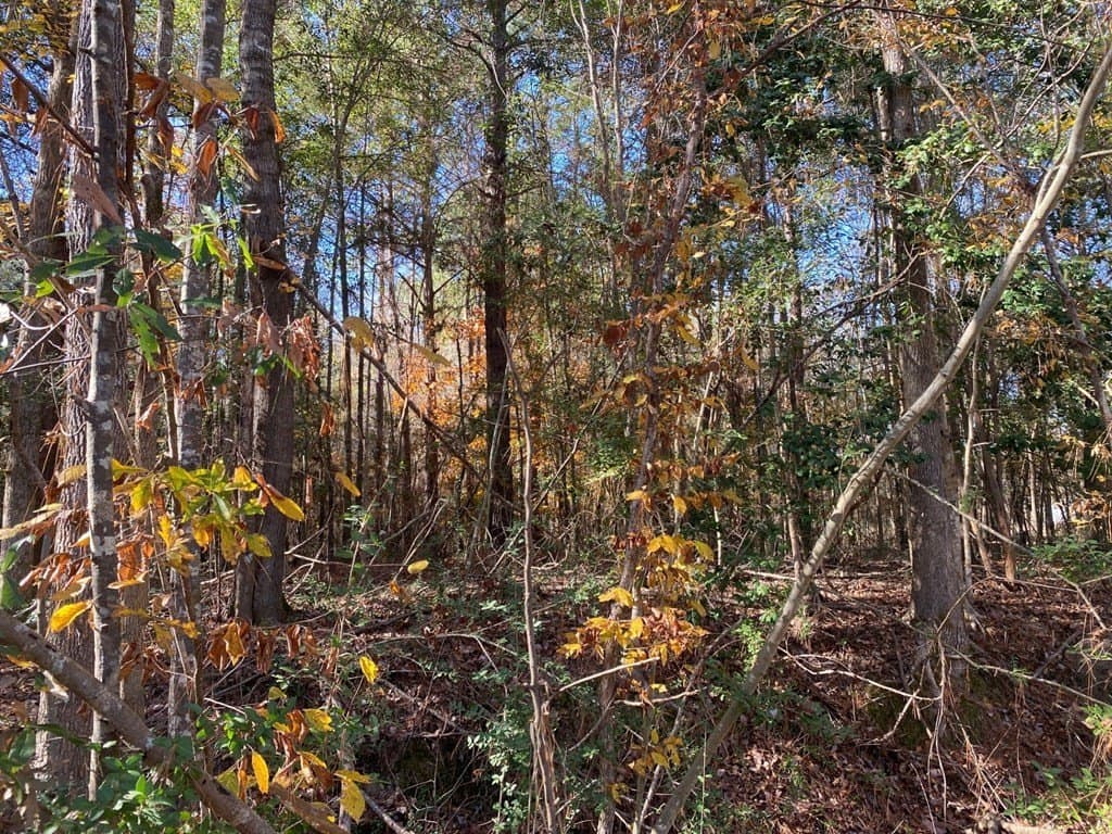 1.22 acres in Texas County gallery image 4
