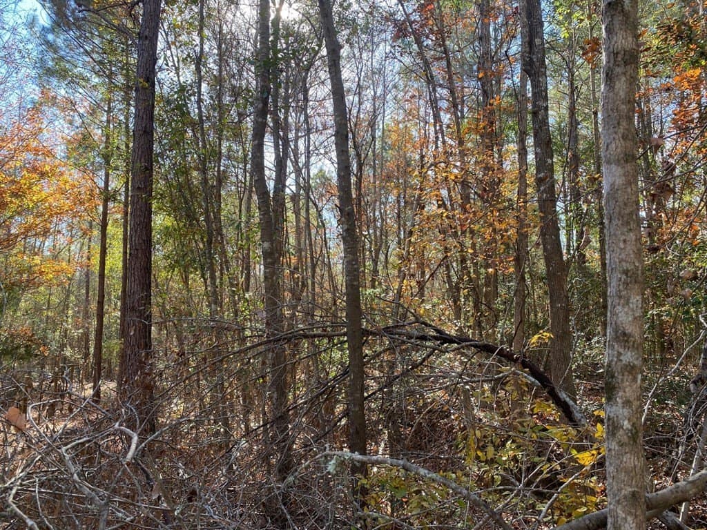 1.22 acres in Texas County - photo 9
