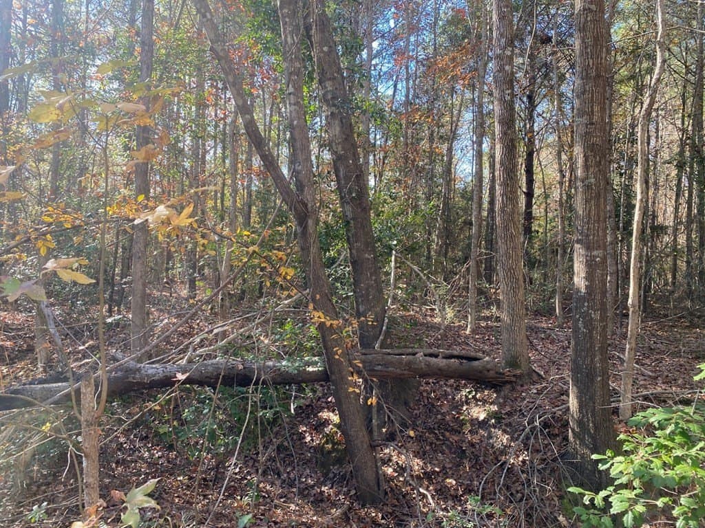1.22 acres in Texas County - photo 8