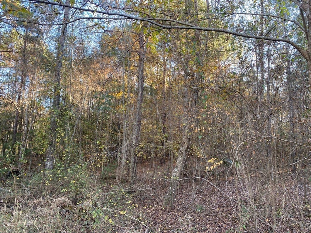1.22 acres in Texas County - photo 10