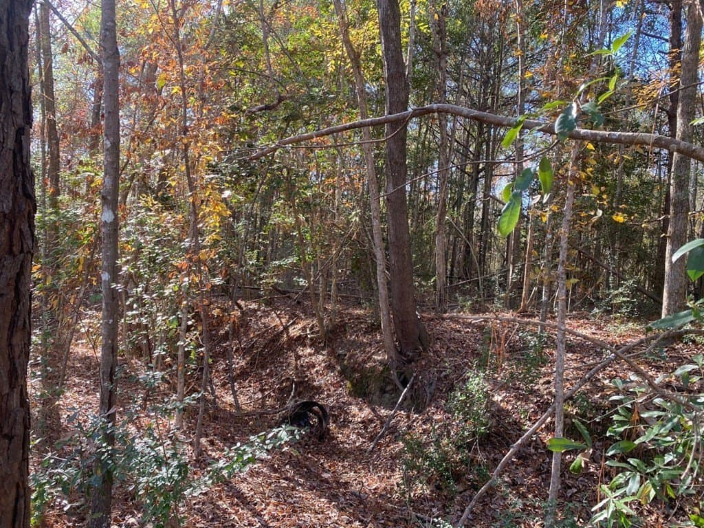 1.22 acres in Texas County gallery image 3