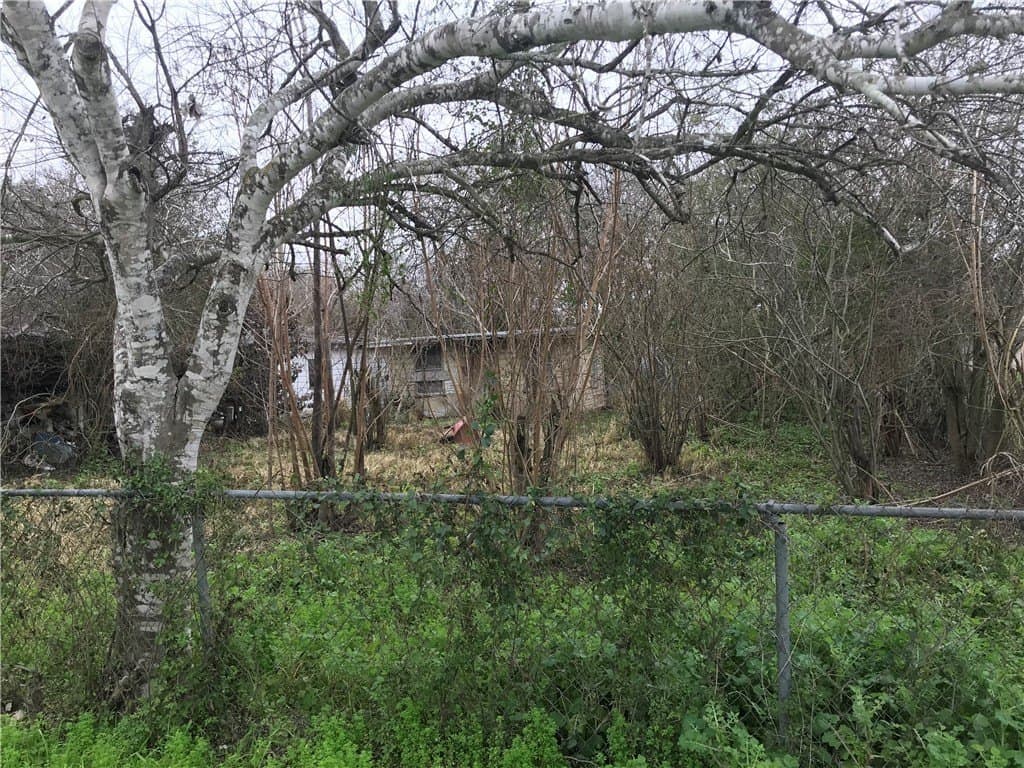 0 acres in Jim Wells County gallery image 2