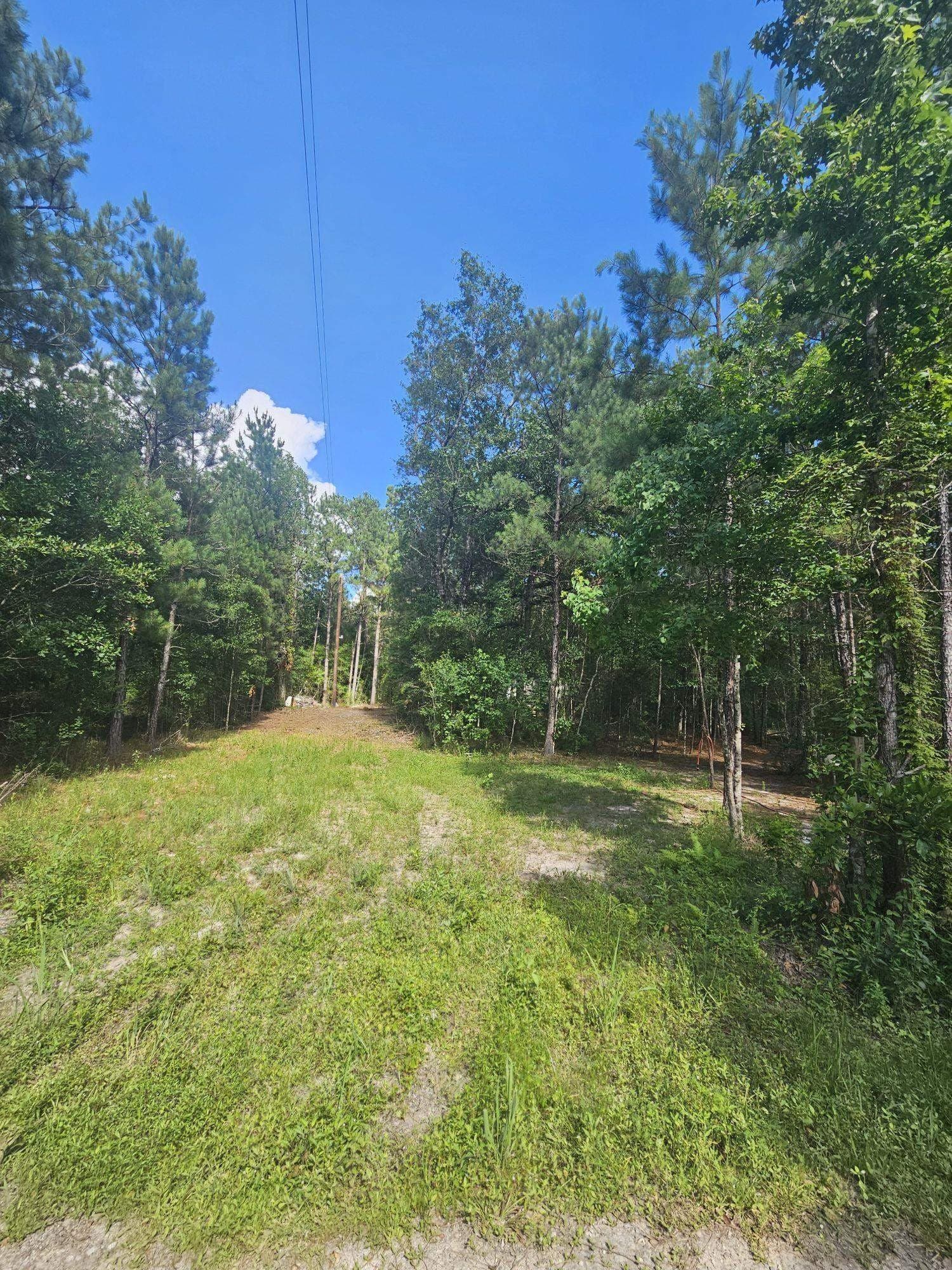 37 acres in Texas County gallery image 4