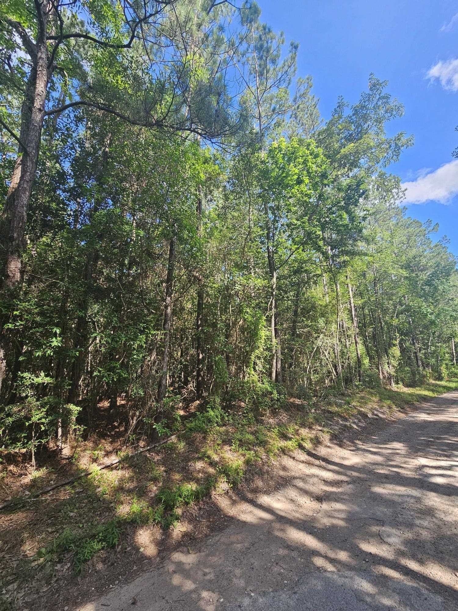 37 acres in Texas County gallery image 2