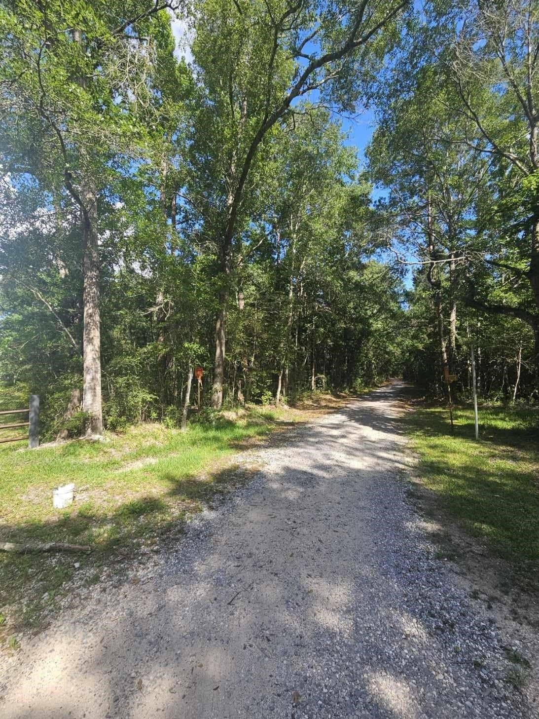 37 acres in Texas County gallery image 3