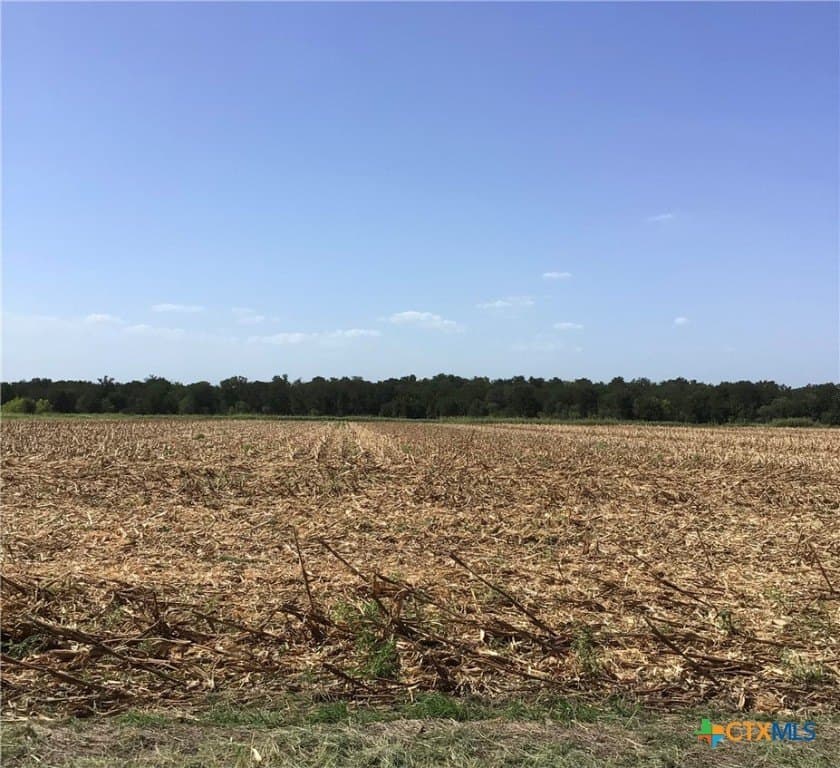 13.82 acres in Falls County gallery image 2