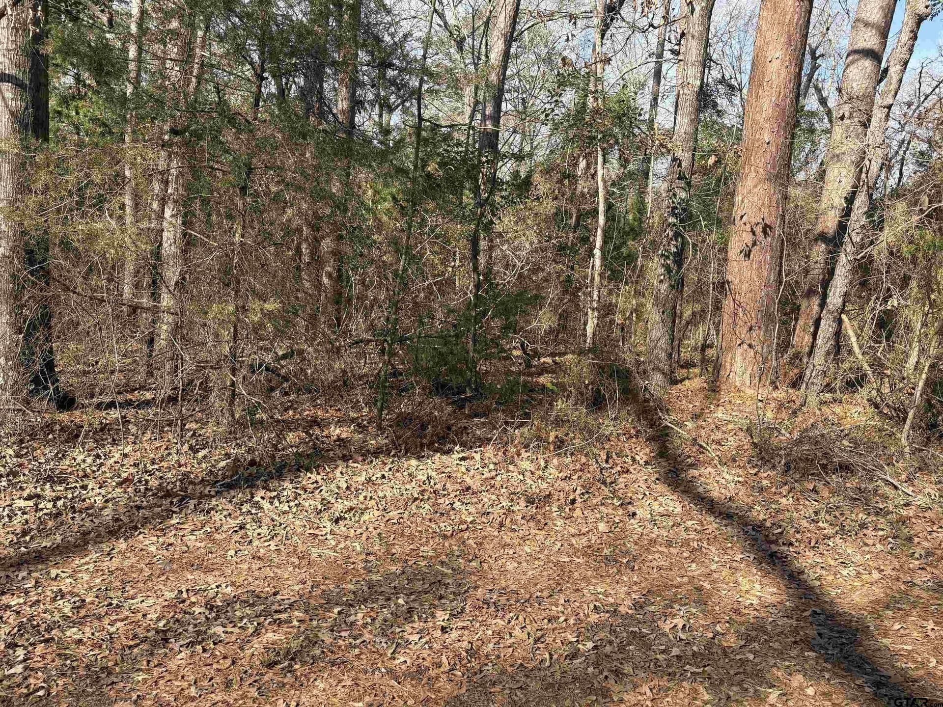0.36 acres in Cherokee County gallery image 2