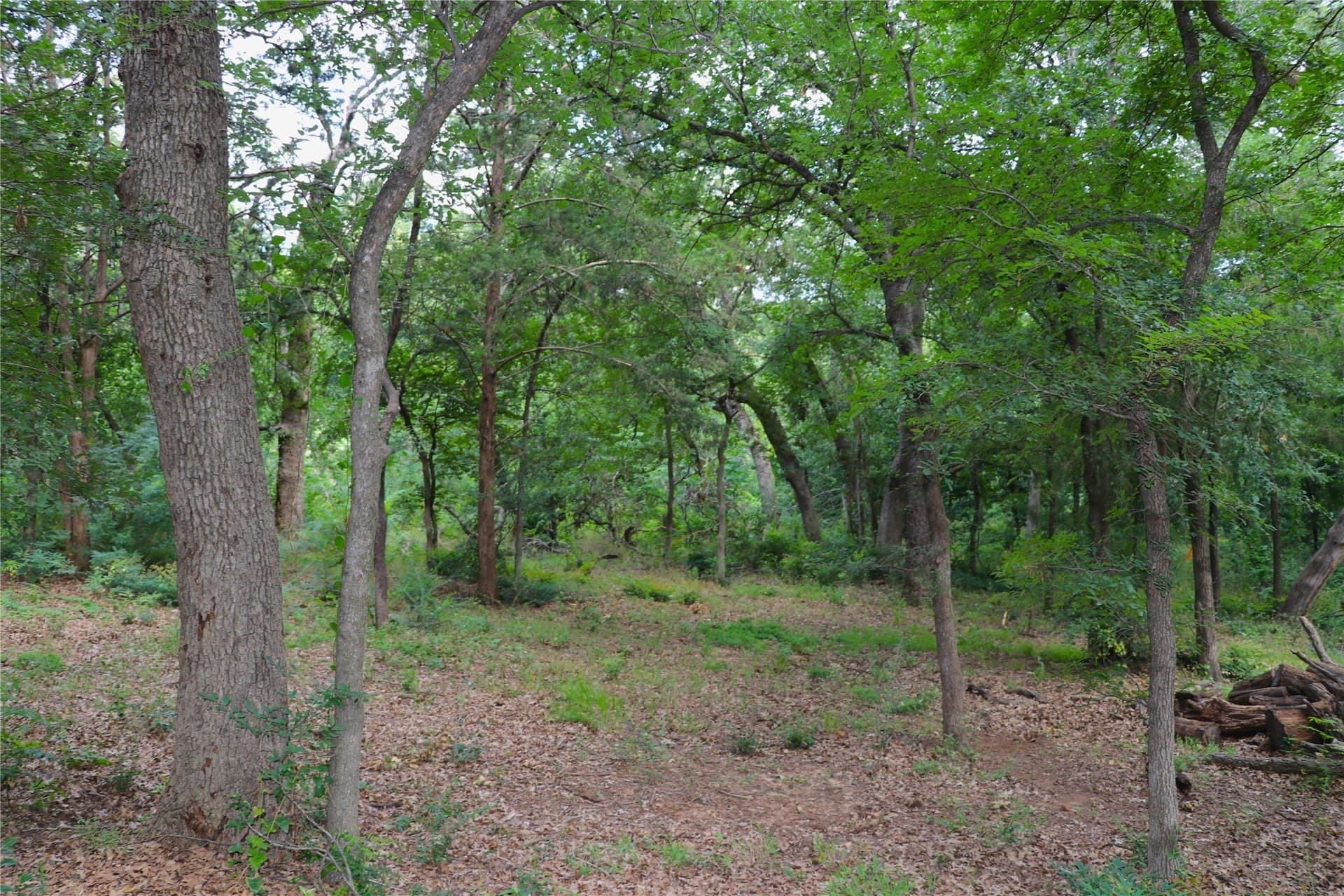 5.65 acres in Tarrant County - photo 5