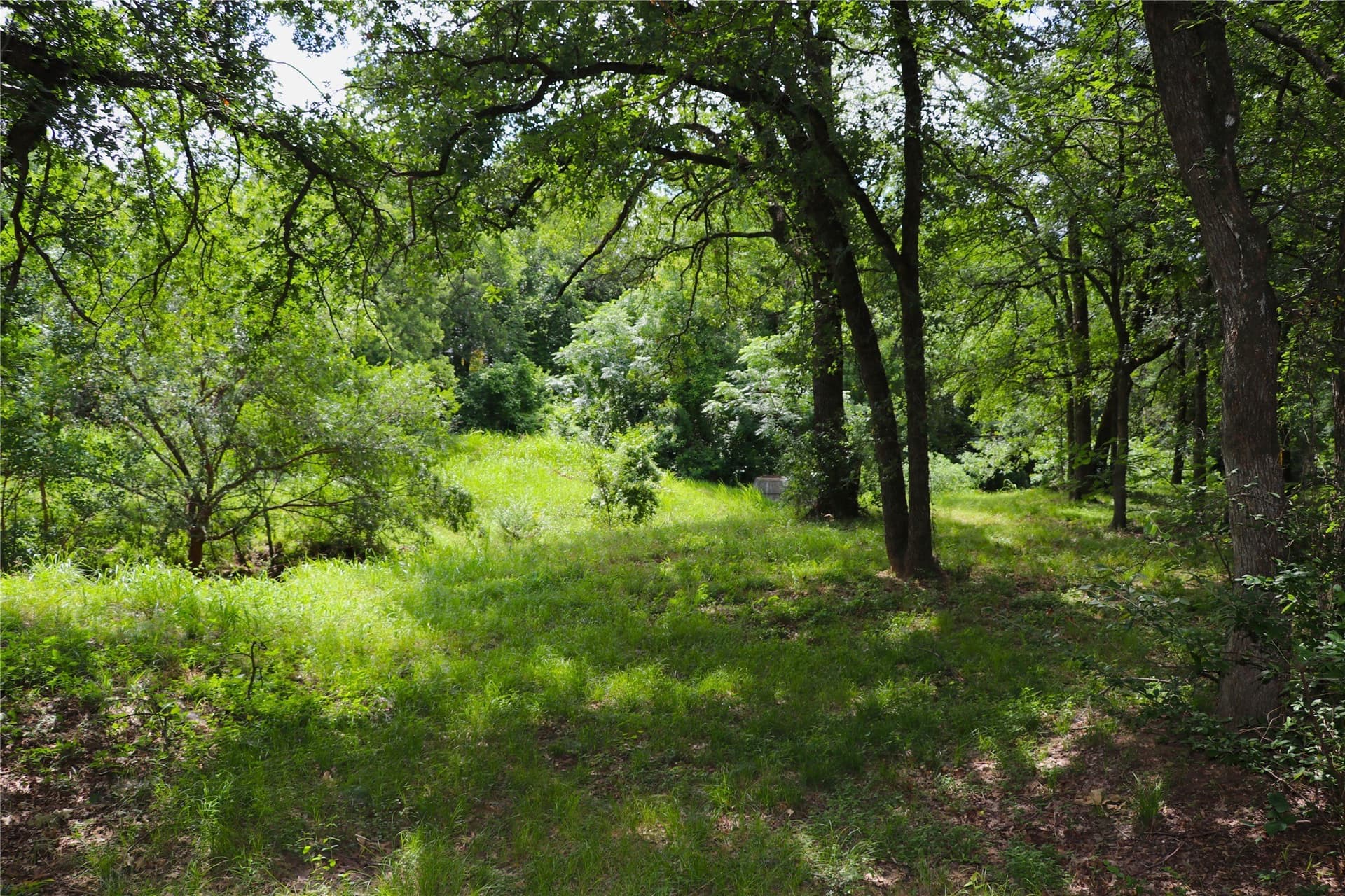 5.65 acres in Tarrant County - photo 8