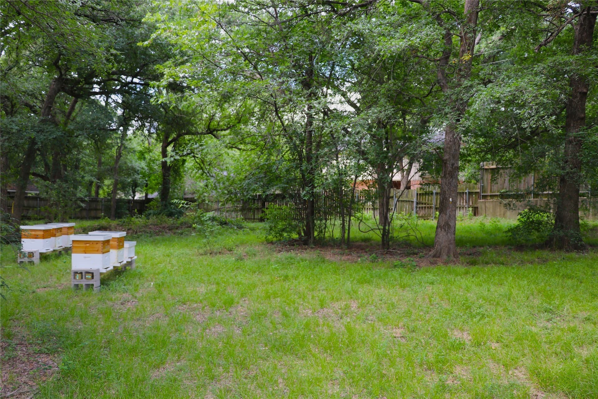 5.65 acres in Tarrant County - photo 9