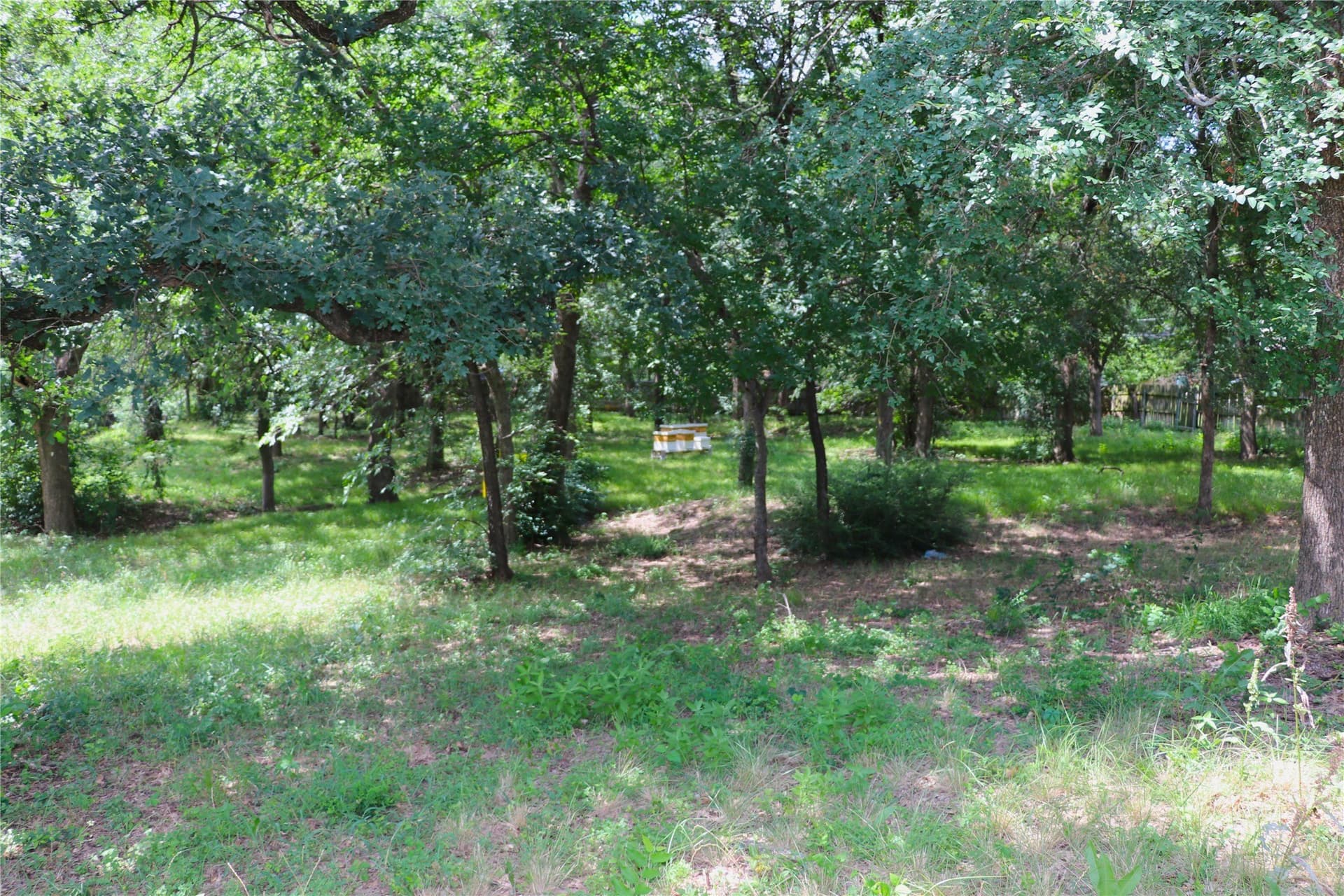 5.65 acres in Tarrant County - photo 6
